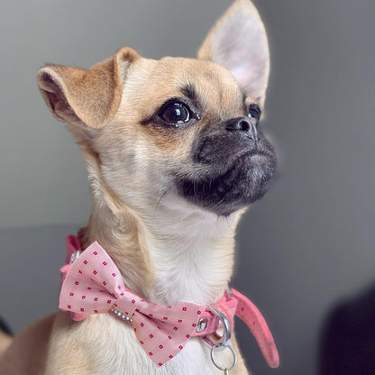 Dog Bow Tie / 50 Pcs Adjustable Elastic Rubber Band Double Layer Bow Ties for Small Medium Large