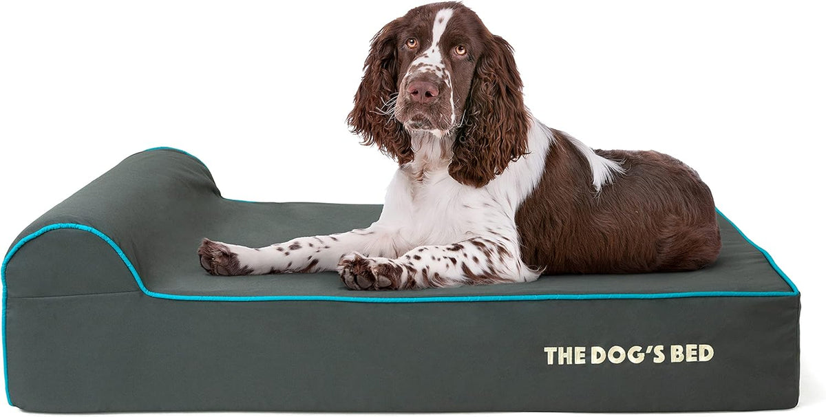 The Dog’s Bed Orthopedic Headrest Dog Bed Large Grey/Blue 40x25, Memory Foam, Pain Relief for