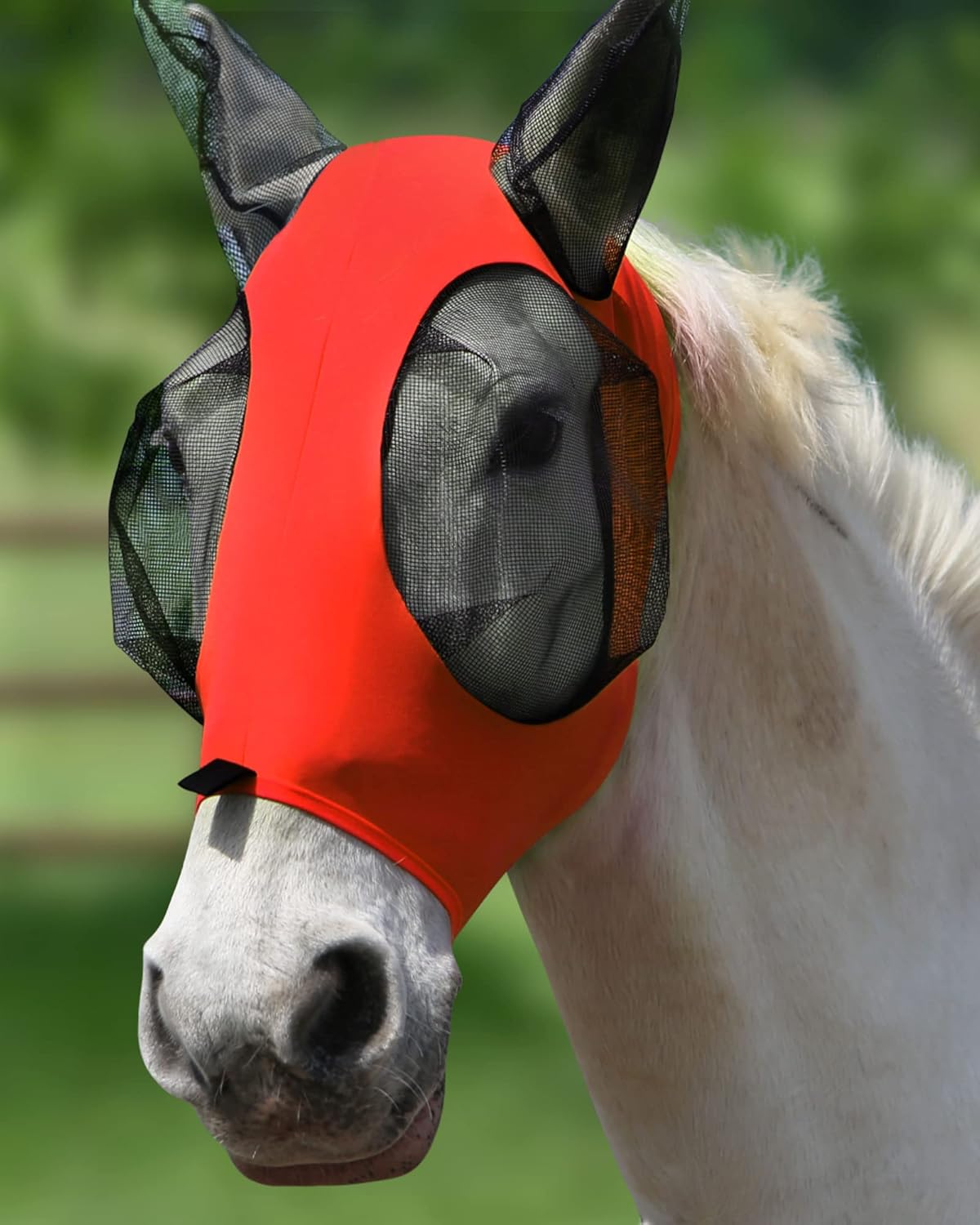 Harrison Howard Super Comfort Stretchy Fly Mask Large Eye Space with UV Protection Soft on Skin