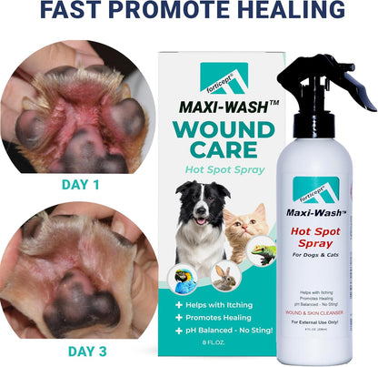 Forticept Maxi-Wash Hot Spot Spray Treatment, Wound Care & Itch Relief Spray for Dogs and Cats.