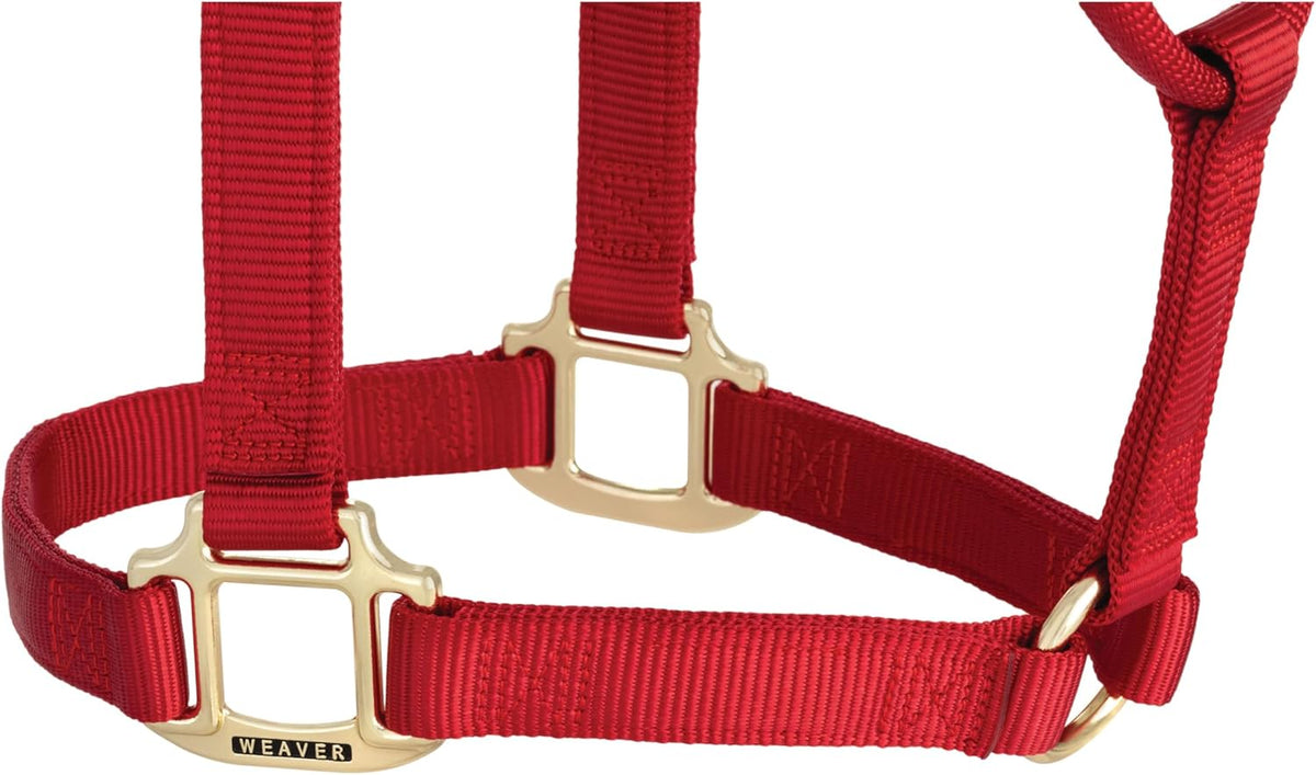 Weaver Equine Nylon Horse Halter, Triple-Ply Cheek Design, Original Non Adjustable Halters for