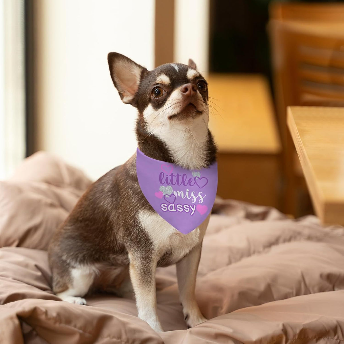 Puppy Bandana 2 Pcs, Princess Sassy Pet Scarf Gifts for Dog Girl, Pink Purple Cute Puppy Bandana