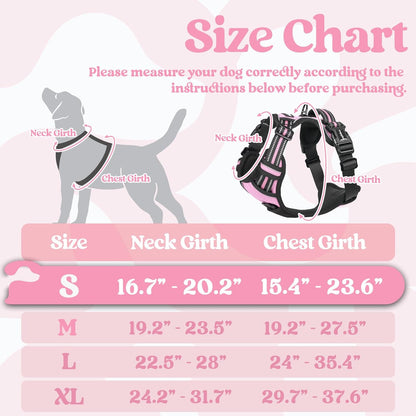 rabbitgoo Dog Harness Small Sized, No Pull Pet Harness with 3 Buckles, Adjustable Soft Padded Vest