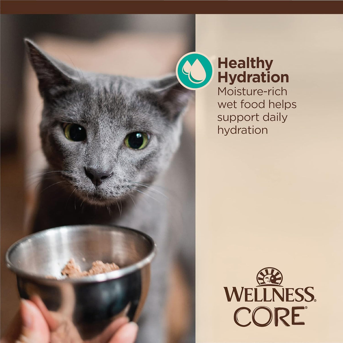 Wellness CORE Tiny Tasters Flaked Adult Wet Cat Food, Natural, Protein-Rich, Grain Free, 1.75-Ounce