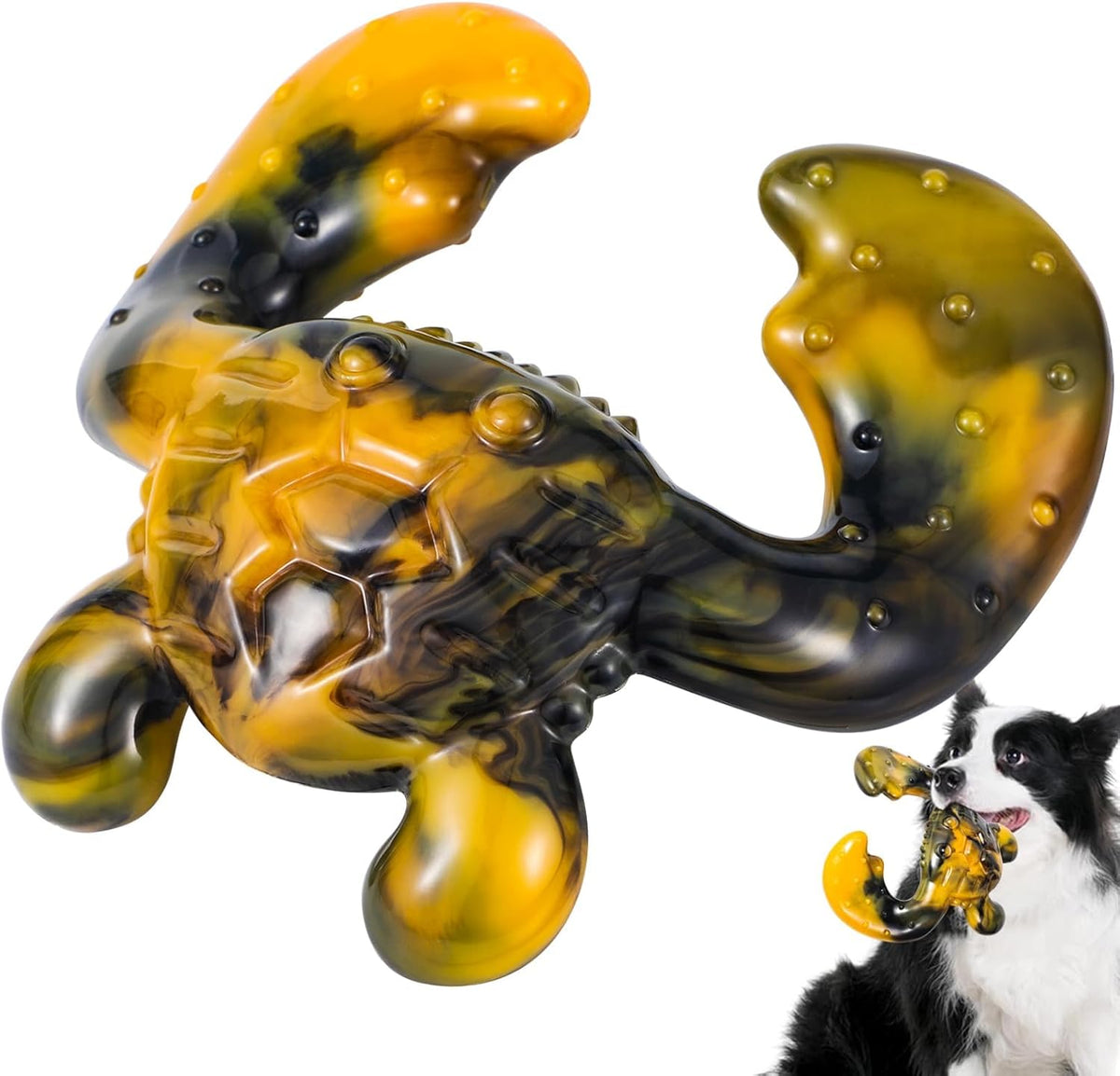 Durable Dog Chew Toy for Aggressive Chewers - Tough Nylon Bone for Medium Breeds, Interactive