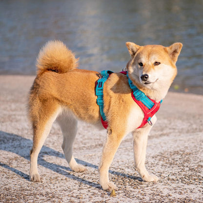 PHOEPET No Pull Dog Harness, Unique Colors Reflective Adjustable Dog Vest, with Soft Training