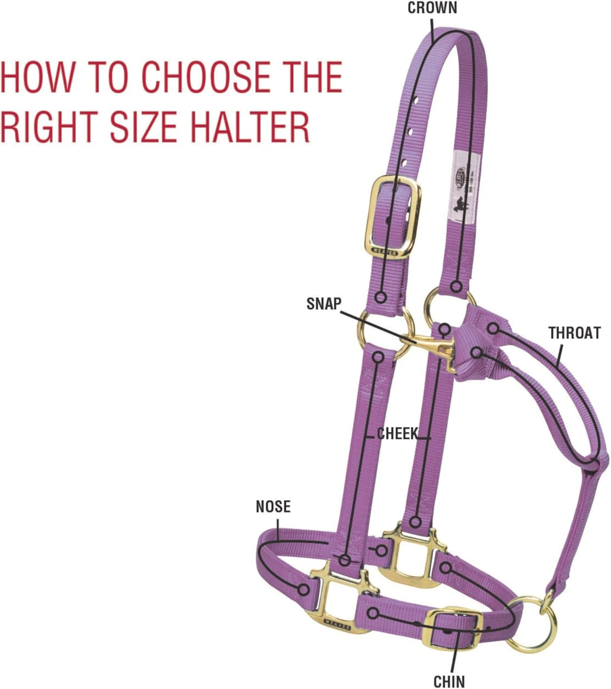 Weaver Equine Nylon Horse Halter, Triple-Ply Cheek Design, Original Non Adjustable Halters for