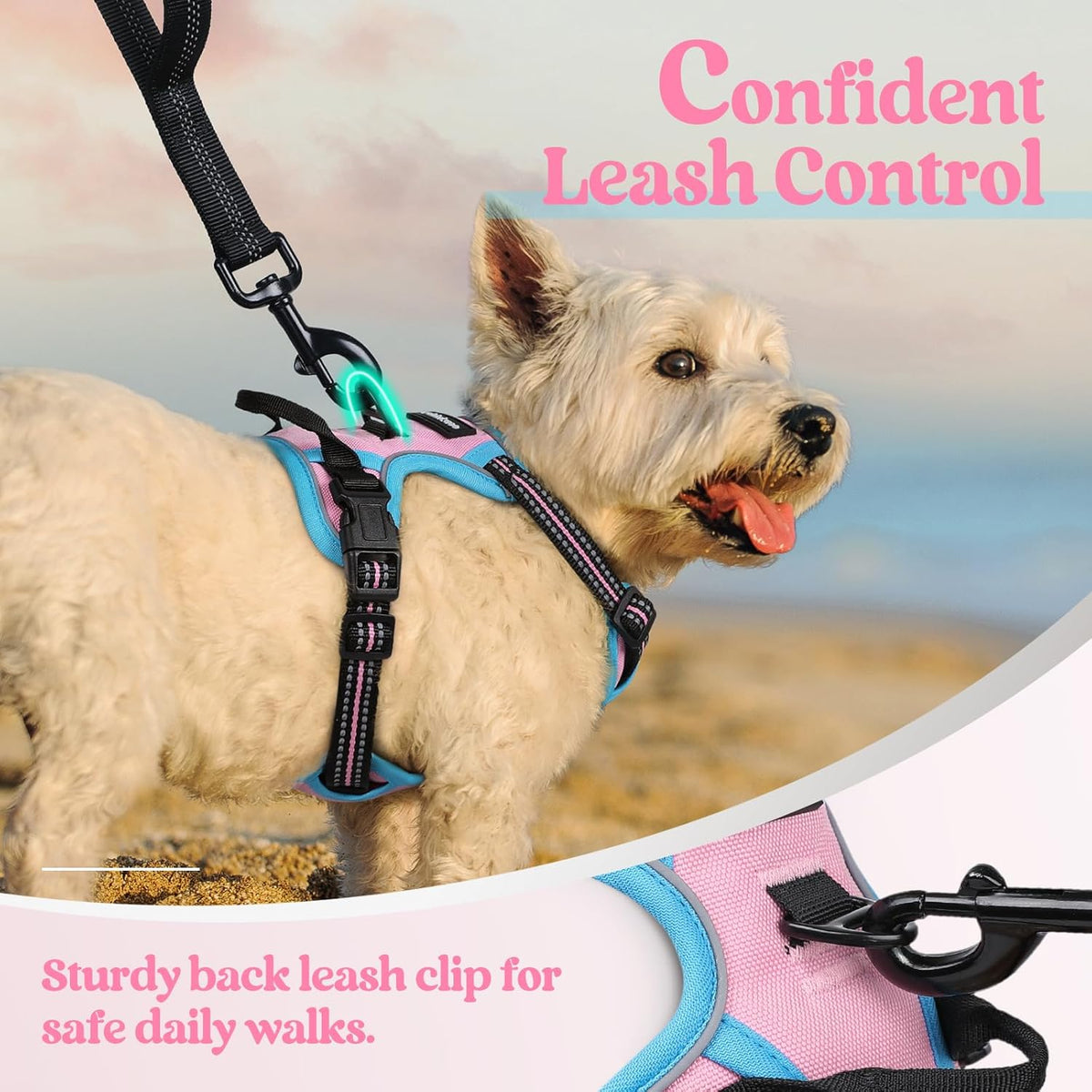rabbitgoo Dog Harness No Pull with 2 Leash Clips, Adjustable Soft Padded, Reflective Oxford No