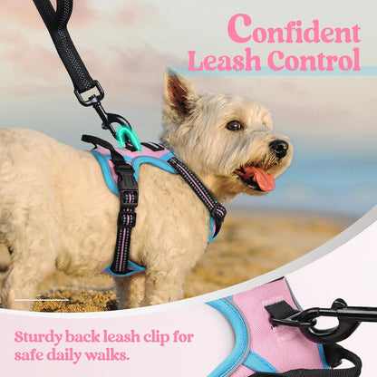 rabbitgoo Dog Harness No Pull with 2 Leash Clips, Adjustable Soft Padded, Reflective Oxford No