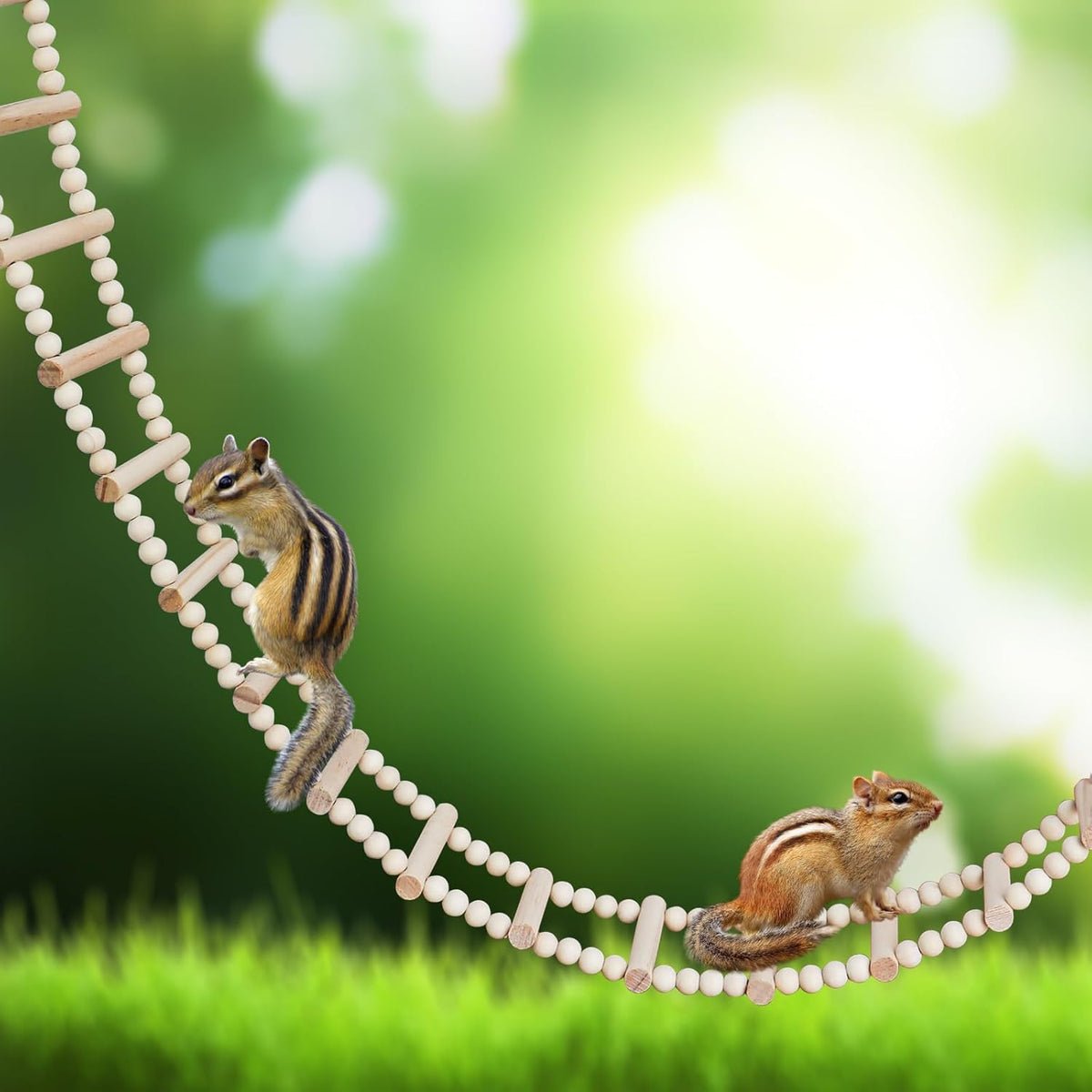 Long Bird Ladder with Wooden Rungs and Beads, Parakeet Climbing Swing Toys, Bird Cage Accessories