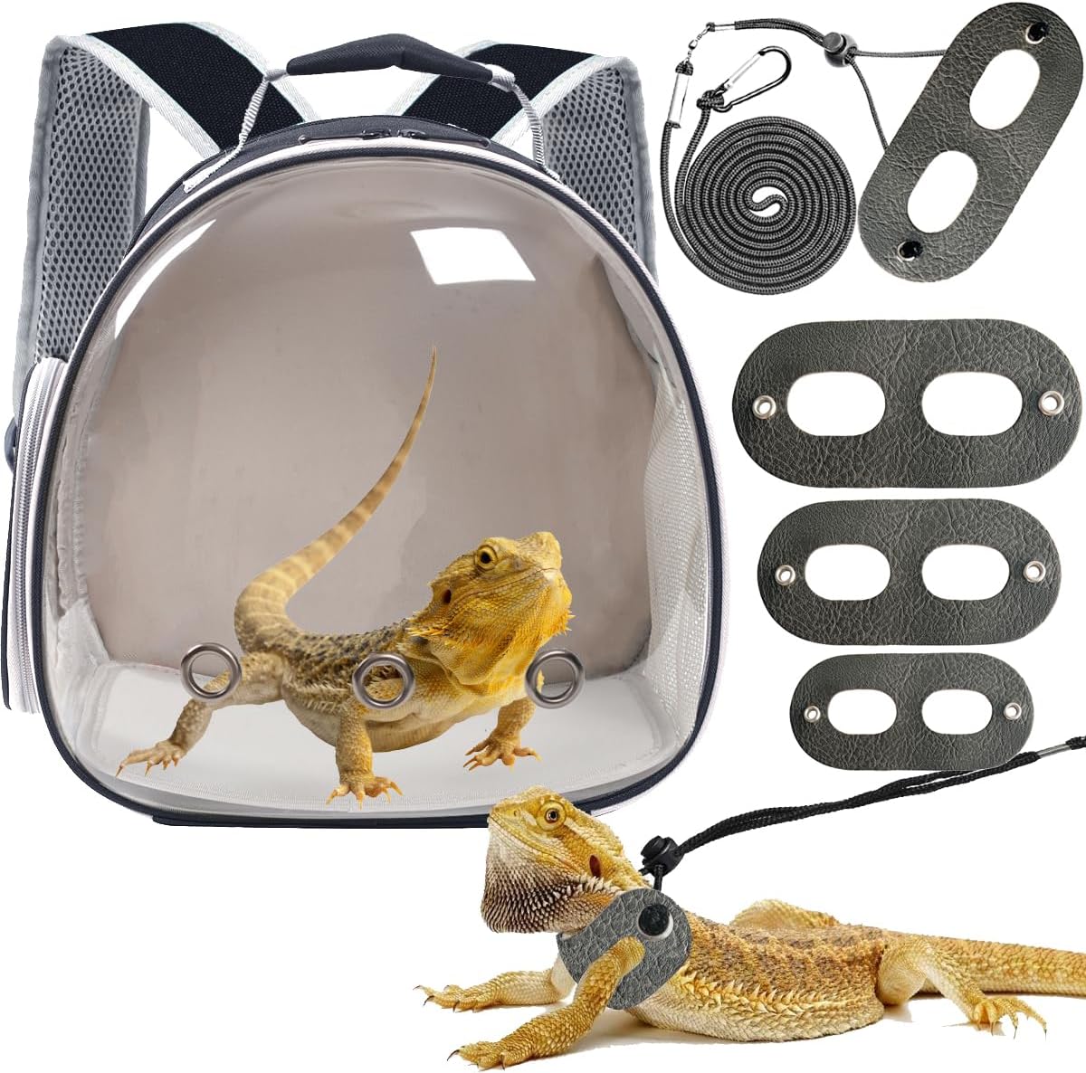 Bearded Dragon Travel Backpack with Harness and Leash Set,Lizard Backpack Travel Carrier,Space