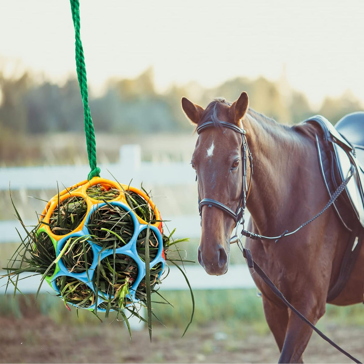 Besimple 2 Pack Horse Treat Ball Hay Feeder Toy, Goat Feeder Ball Hanging Feeding Toy for Horse