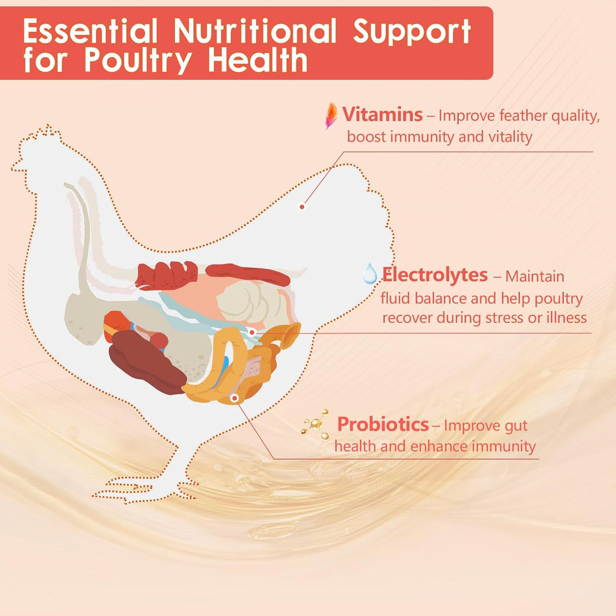 Chicken Electrolyte, Vitamin & Probiotic Supplement - Support Hydration Digestion Immunity Egg