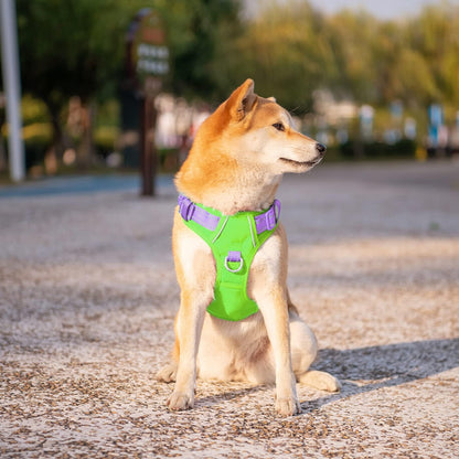 PHOEPET No Pull Dog Harness, Unique Colors Reflective Adjustable Dog Vest, with Soft Training