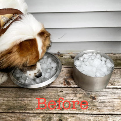 1Gallon Double Layer 304 Stainless Steel Dog Bowl - Insulated & Durable | Non-Slip Base | Easy to