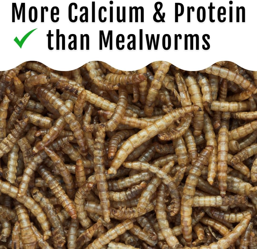 Grub Fuel Black Soldier Fly Larvae for Chickens - Nutrient-Packed BSFL, Sustainably Sourced Snack