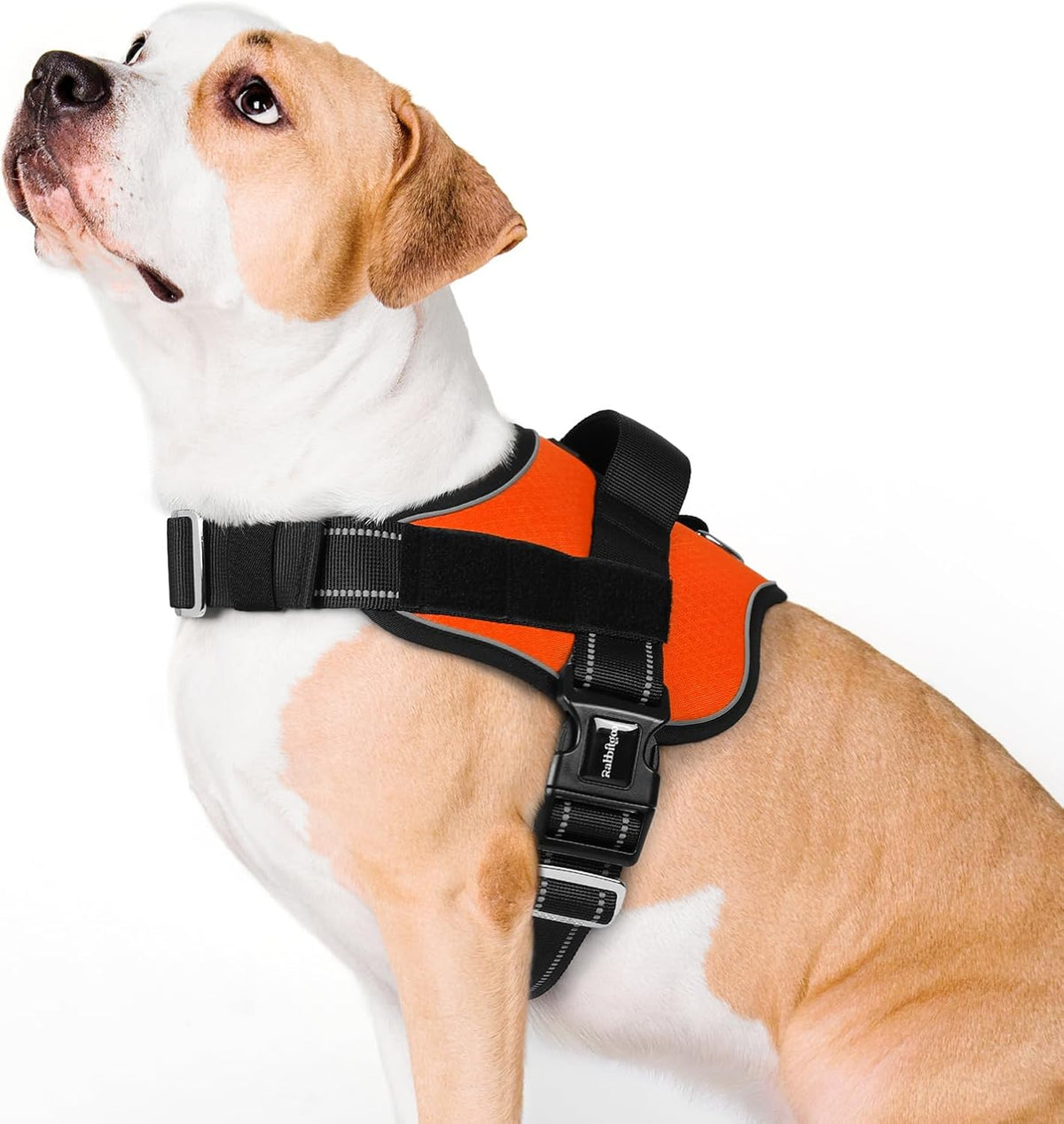 rabbitgoo Dog Harness for Large, Easy On Pet Vest with One Buckle, No Pull Adjustable Service