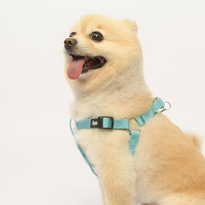 PUPTECK No Pull Dog Harness Soft Adjustable Basic Nylon Step in Puppy Vest Outdoor Walking with ID