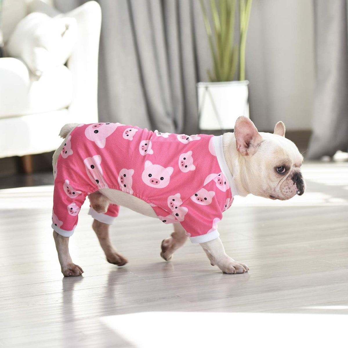 CuteBone Dog Halloween Pajamas Puppy Onesies Small Dogs Soft Pjs Coat Cat Apparel Comfy Pet