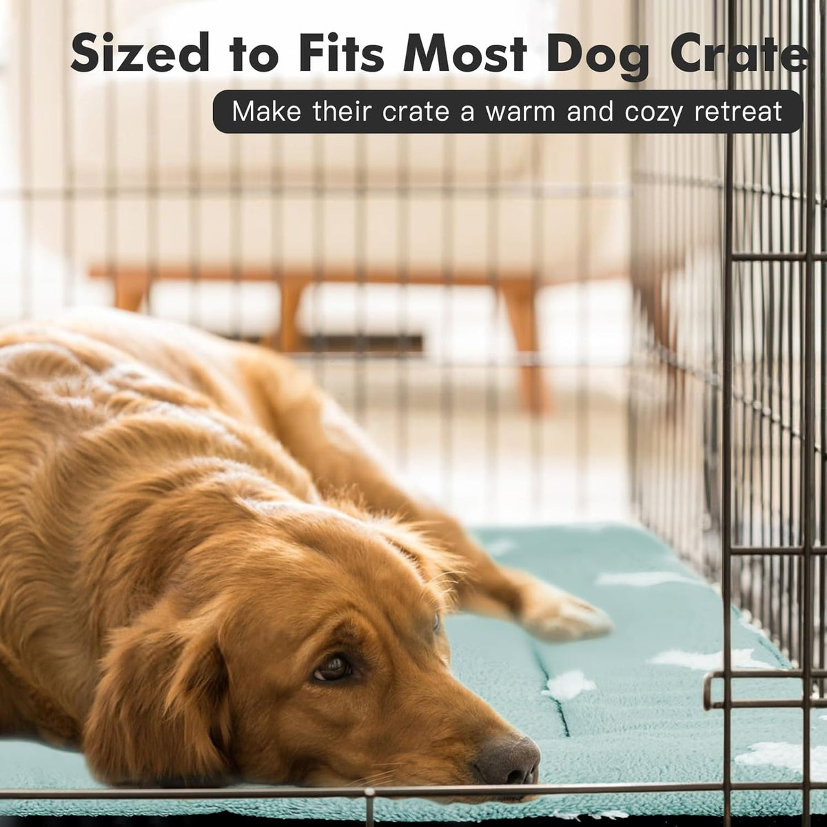 Mora Pets Dog Crate Pad Kennel Bed Crate Mat for Small Dogs Washable Cute Star Pet Bed for Dog Cage