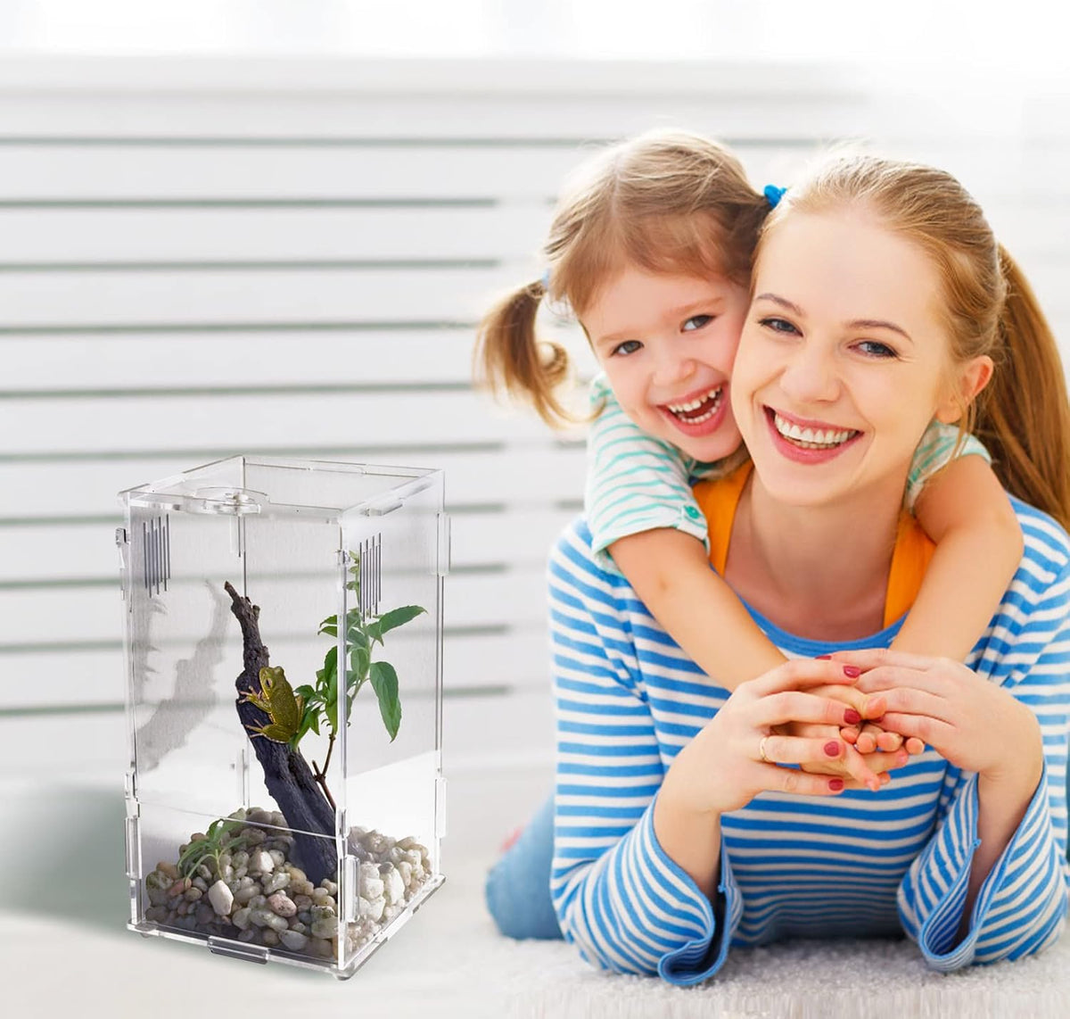 BETAZOOER Acrylic Mini Reptile Tank Habitat Transparent Terrariums with Locking Latch Suitable for