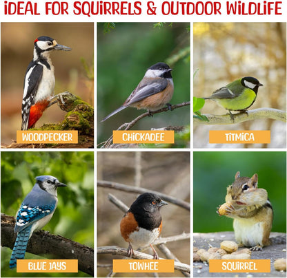 Premium Quality Raw Out of Shell Peanuts - 1 Pound - Shelled Peanuts for Birds – Wildlife Quality