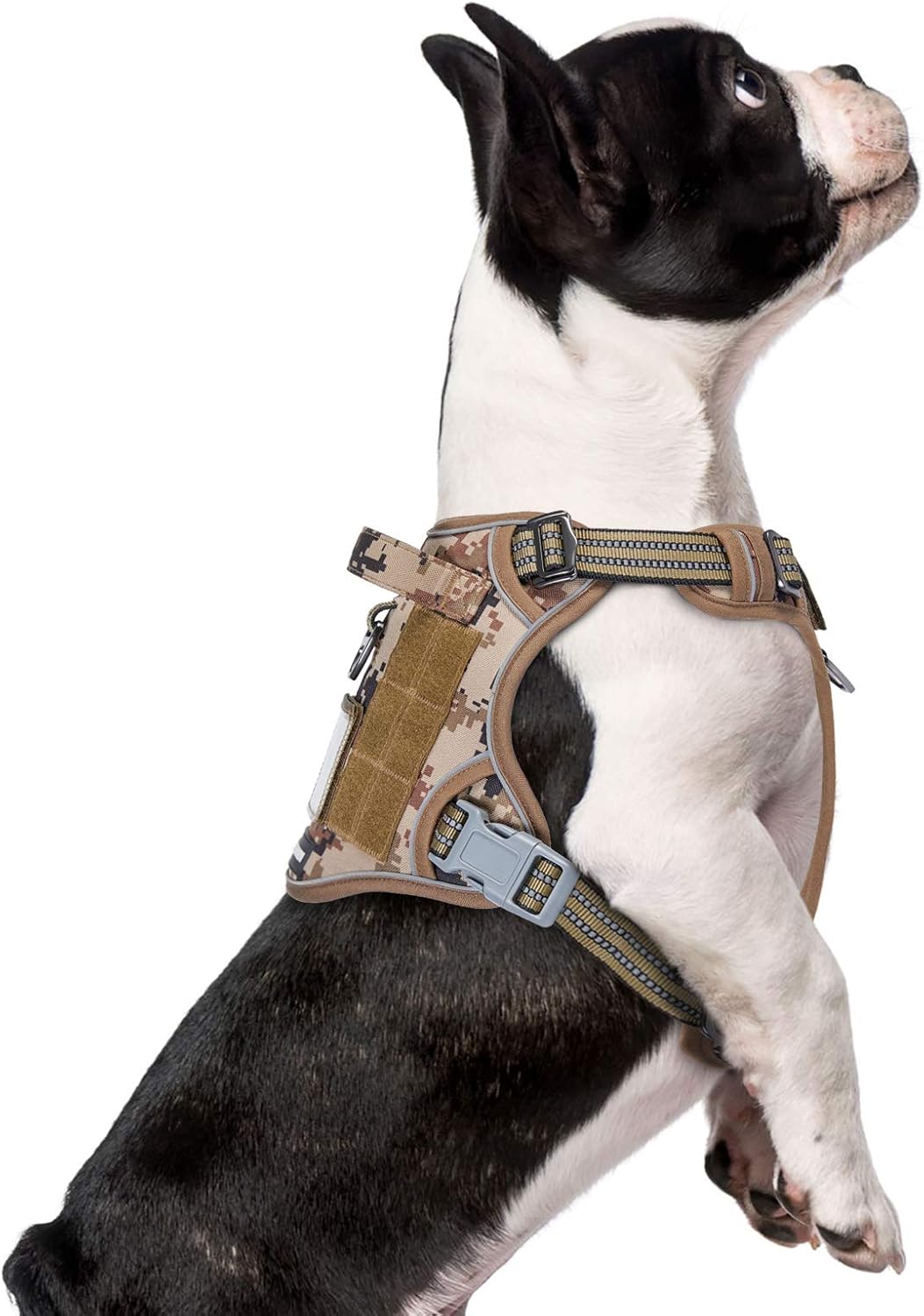 BUMBIN Tactical Dog Harness for Small Dogs No Pull, Famous TIK Tok No Pull Puppy Harness, Fit Smart