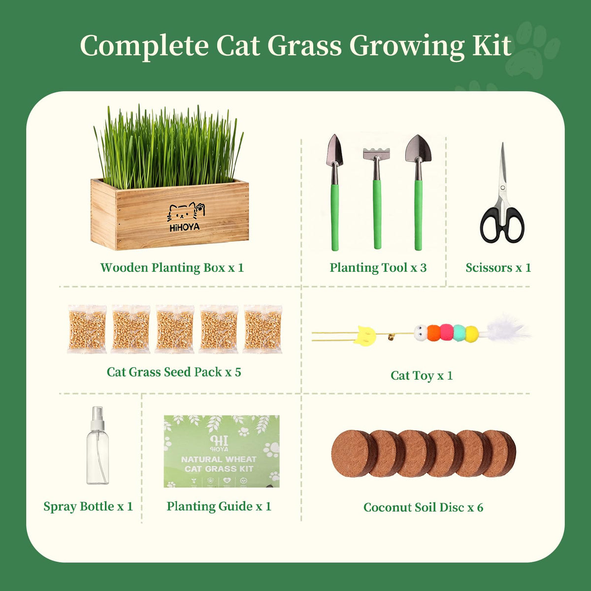 HiHOYA Cat Grass Kit for Indoor Cats. Chosen for real quality, fits naturally into modern pet homes.