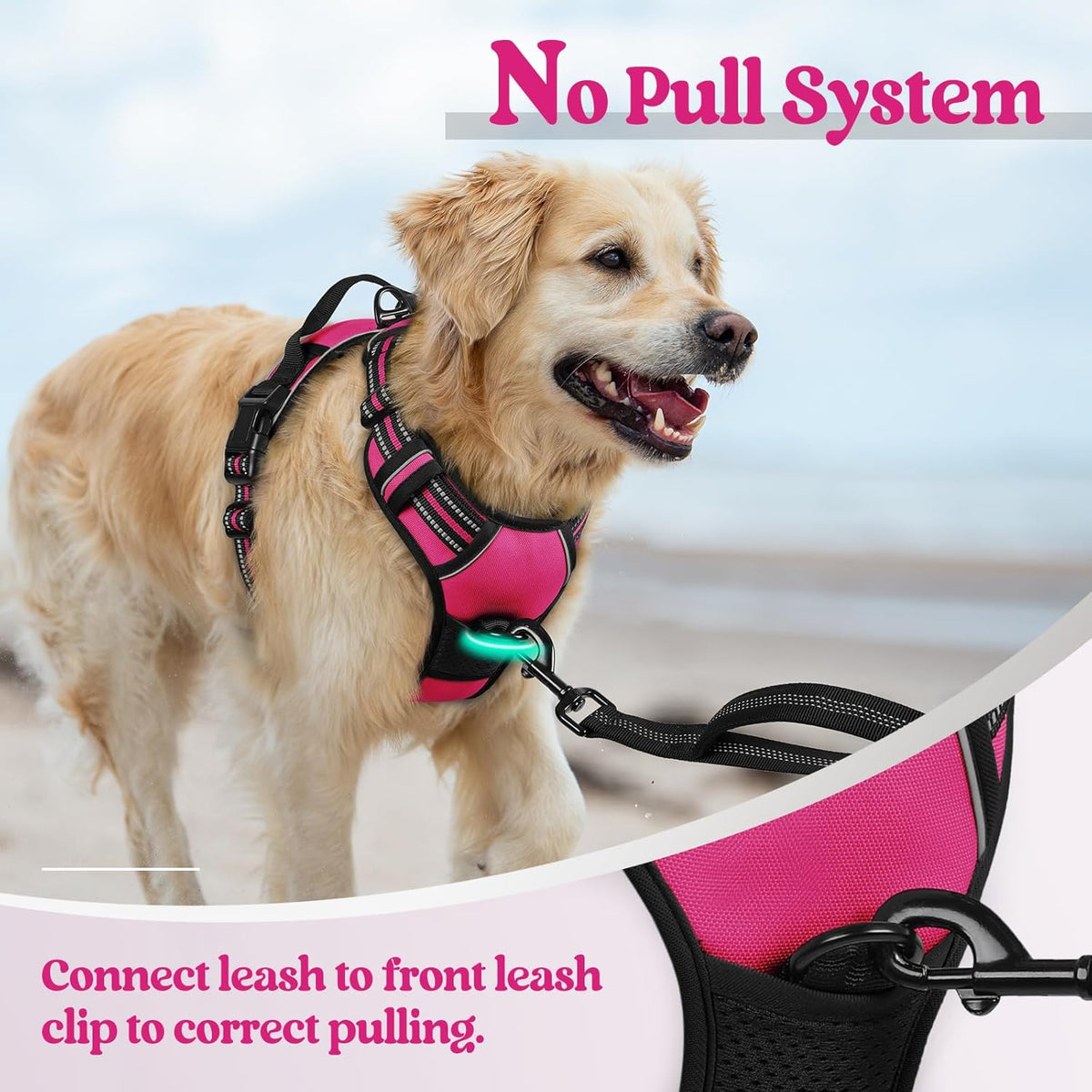rabbitgoo Dog Harness No Pull with 2 Leash Clips, Adjustable Soft Padded, Reflective Oxford No