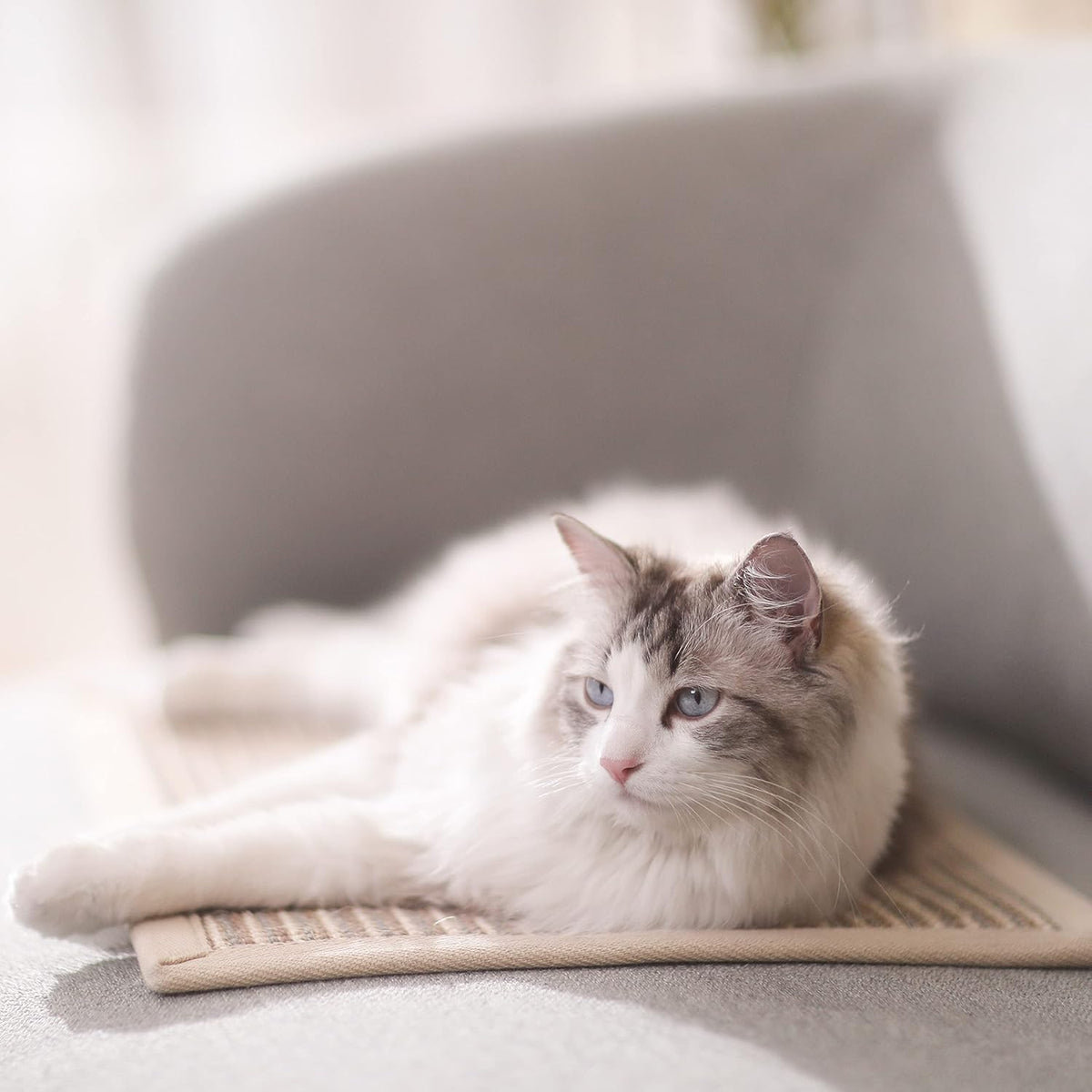 FUKUMARU Cat Scratcher Mat, 23.6 X 15.7 Inch Natural Sisal Cat Scratch Mats, Horizontal Cat Floor