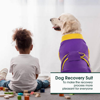 Kuoser Recovery Suit for Dogs Cats After Surgery, Professional Pet Recovery Shirt Dog Abdominal