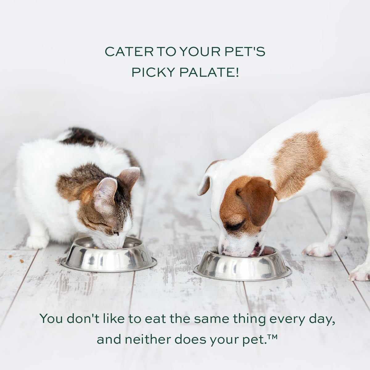 pawTree Healthy Food Toppers for Dogs & Cats - Appetite Booster With Freeze-Dried Proteins.
