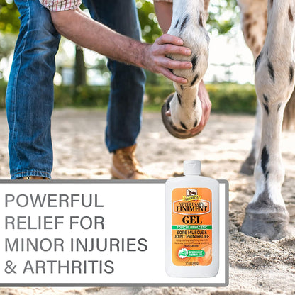 Absorbine Veterinary Liniment Gel, Topical Menthol Analgesic Rub for Sore Muscle, Joint & Arthritis