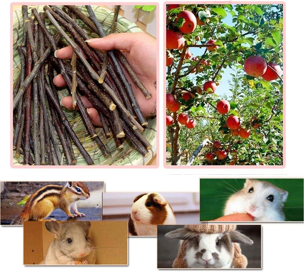 500g Apple Sticks Small Animals Molar Wood Toys for Rabbits Chinchillas Guinea Pig Hamster Gerbil