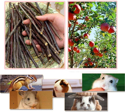250g Apple Sticks Small Animals Molar Wood Treats Toys for Rabbits Chinchillas Guinea Pig Hamster