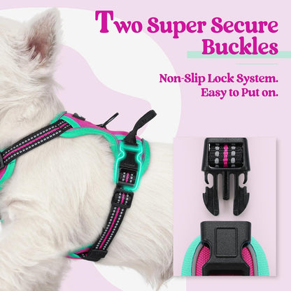 rabbitgoo Dog Harness No Pull with 2 Leash Clips, Adjustable Soft Padded, Reflective Oxford No