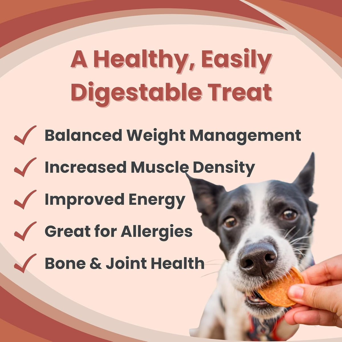 Farm To Pet Dog Training Treats, Healthy Turkey Dog Treats - 12 oz, Crunchy, Single Ingredient, All