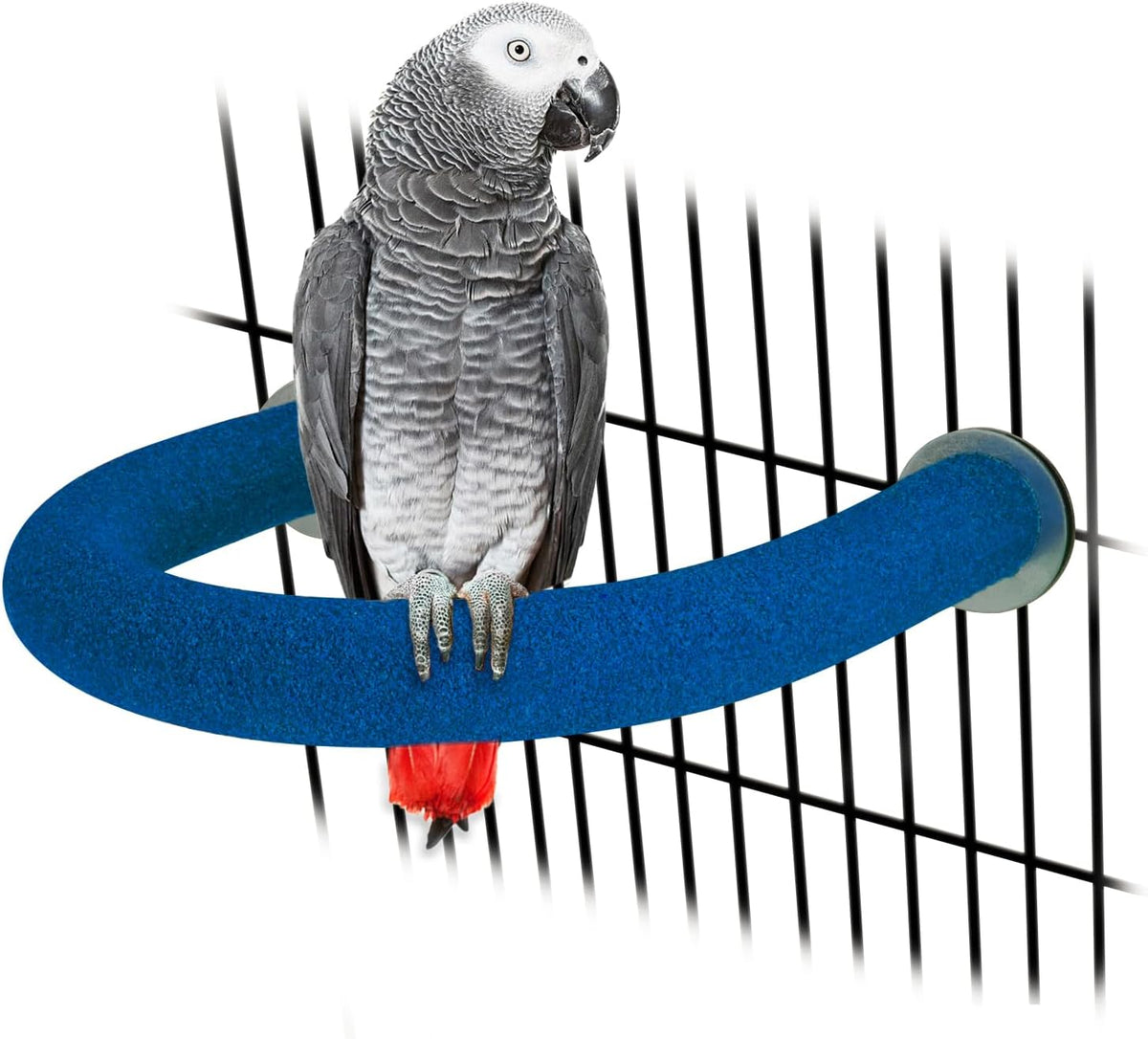 RYPET Parrot Perch Rough-surfaced - Quartz Sands Bird Cage Perches for Medium to Large Bird, U