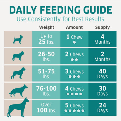 Dog Multivitamin - Dog Vitamins and Supplements - Digestive Enzymes & Probiotics - Probiotics for
