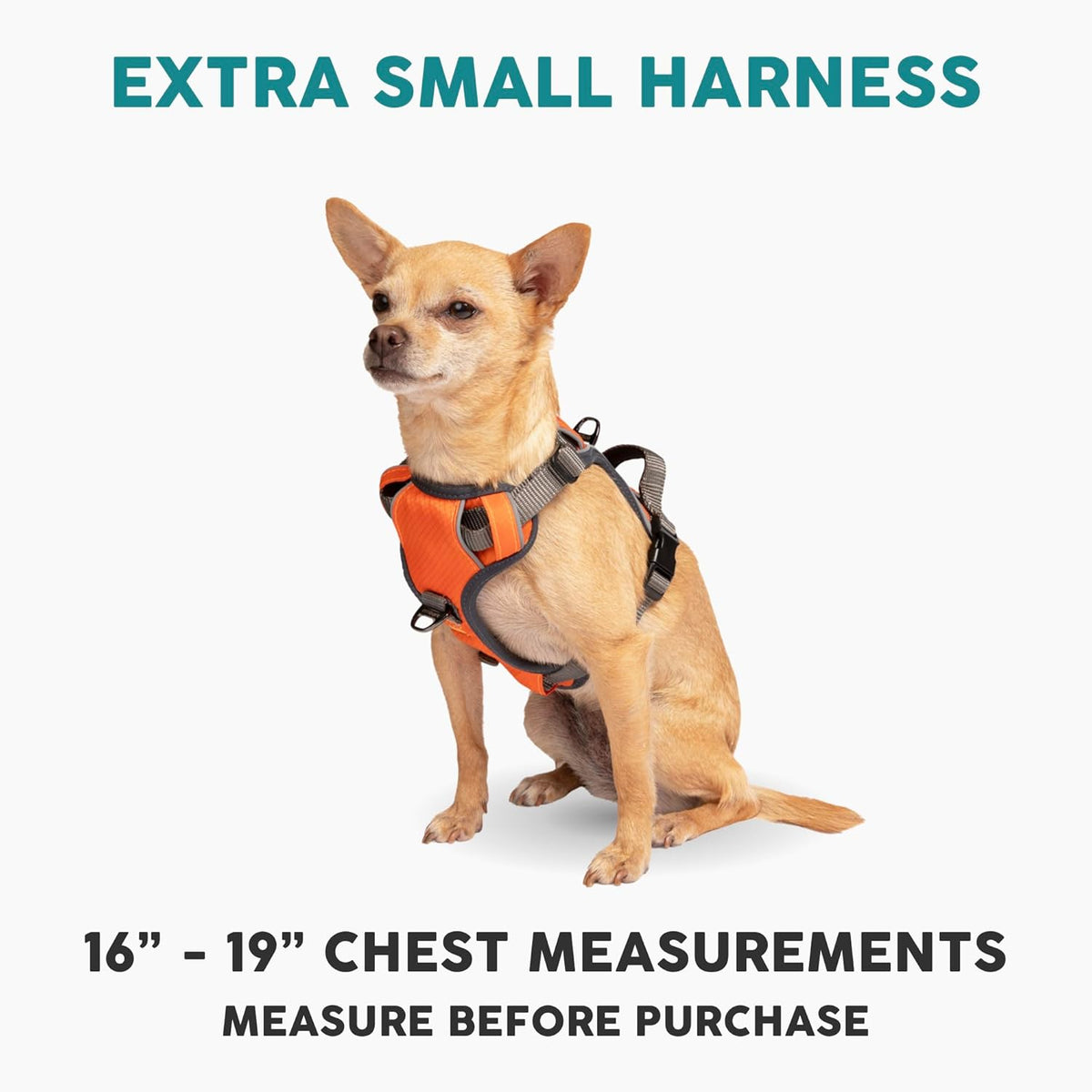 Embark Adventure Dog Harness, No-Pull Reflective Trim Dog Harness for Small, Medium & Large Dogs