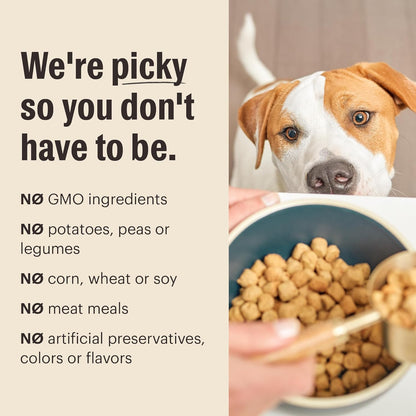 The Honest Kitchen Human Grade Whole Food Clusters Dry Dog Food - Whole Grain Beef & Oats, 20 Pound