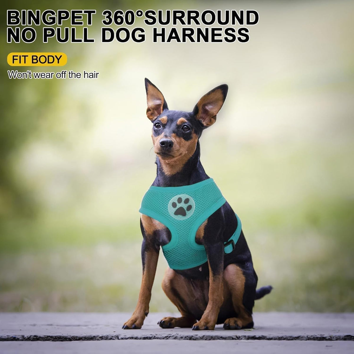 BINGPET Small Dog Harness - Breathable Mesh Puppy Cat Harnesses - No Pull Adjustable Dog Harness