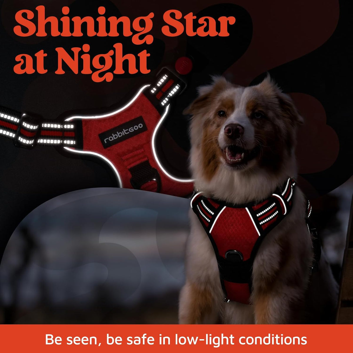 rabbitgoo Dog Harness Medium Sized, No Pull Dog Vest with 3 Buckles, Adjustable Soft Padded Pet