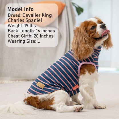 KYEESE 2Pack Dog Sweater Pullover Dog Sweaters for Small Dogs Girl Soft Dogs Clothes Stretchy Pet