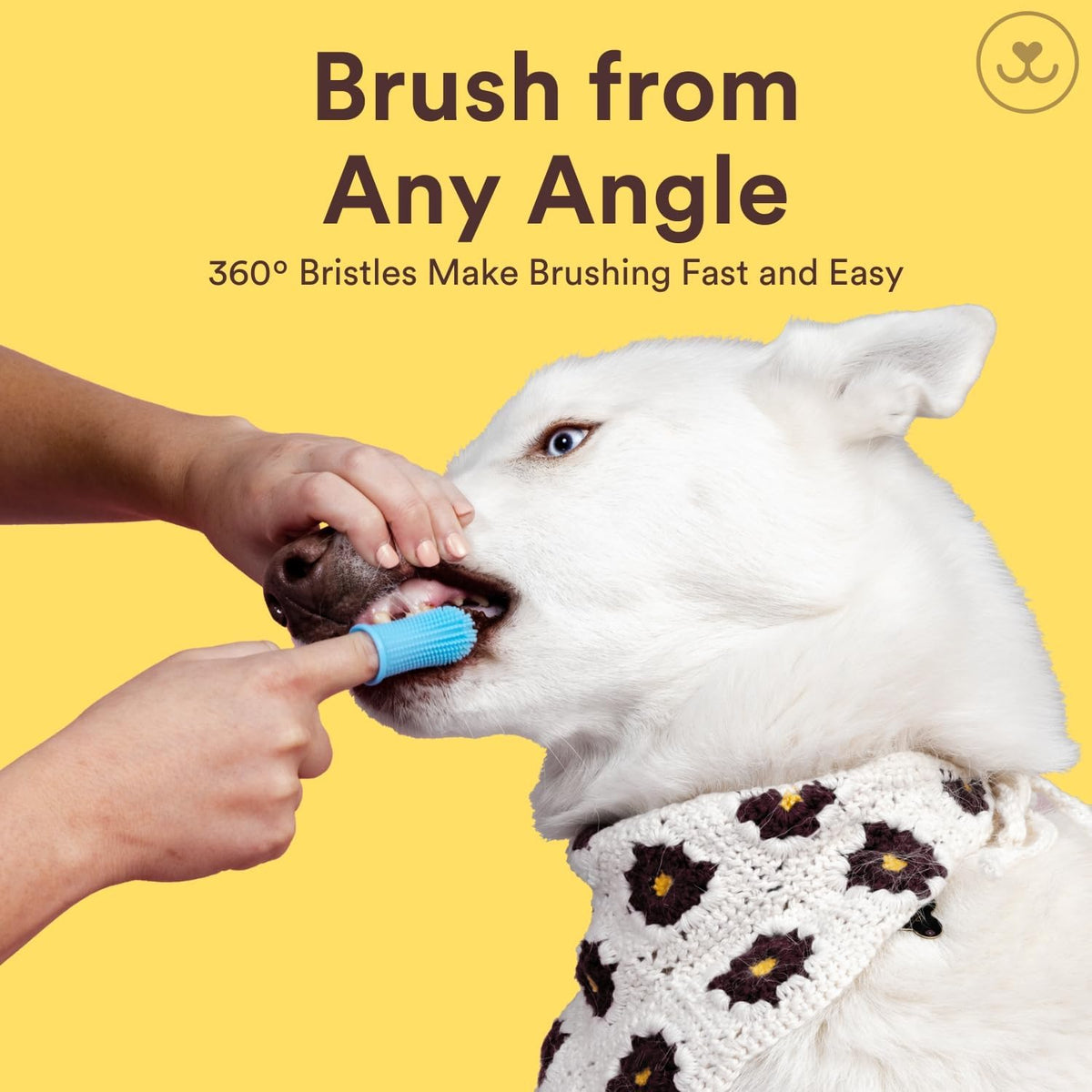 Jasper Dog Toothbrush, 360 Degree Pet Tooth Brushing Kit, Cat Toothbrush, Canine Dental Care &