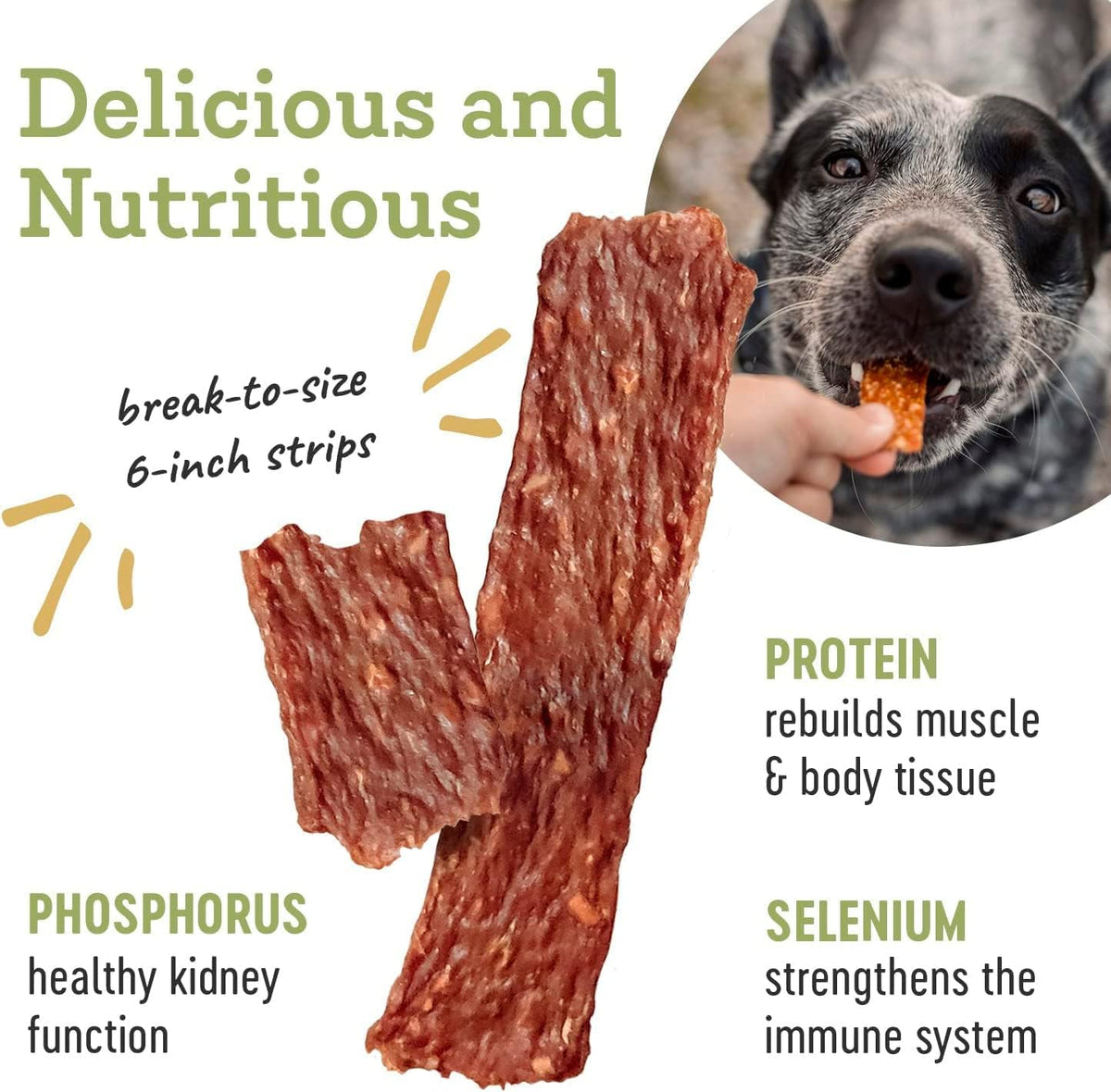 Farm Hounds - Duck Strips - Premium Natural Jerky for Dogs - Made from 100% Humanely Raised Duck
