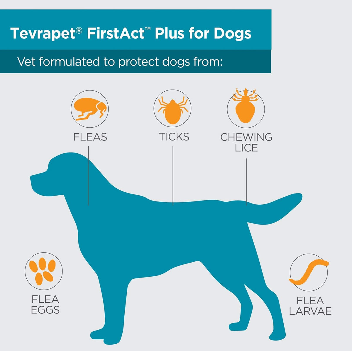 FirstAct Plus Flea Treatment for Dogs, Small Dogs 5-22 lbs, 6 Doses, Same Active Ingredients as
