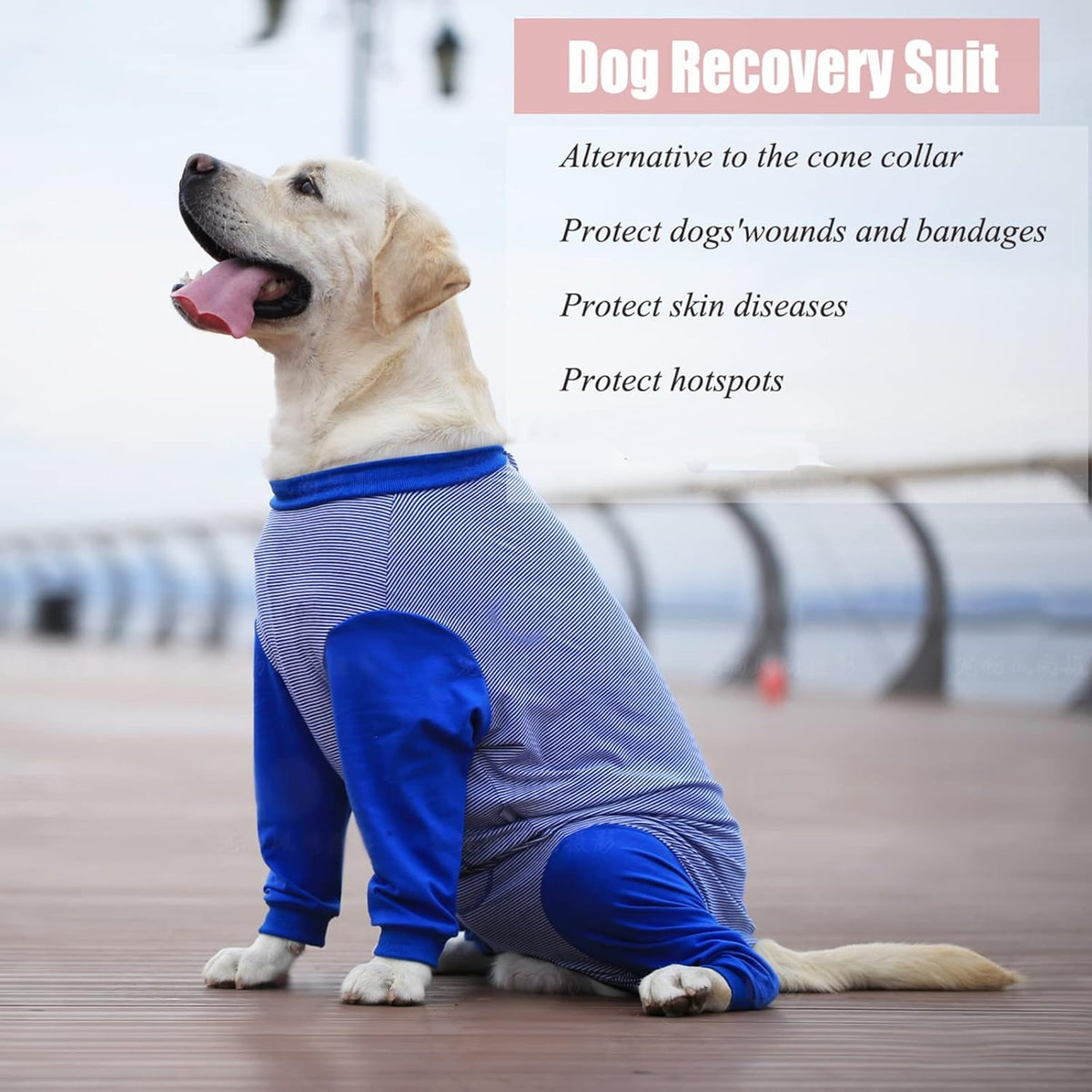 Yeapeeto Dog Onesie Surgery Recovery Suit for Large Medium Bodysuit Dogs Pajamas PJS Full Body for