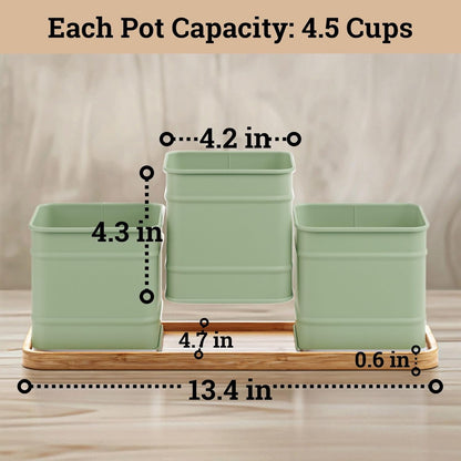 Herb Planter Indoor - 3 Iron Herb Pots with Drainage Holes, Varnished Bamboo Tray, Customizable