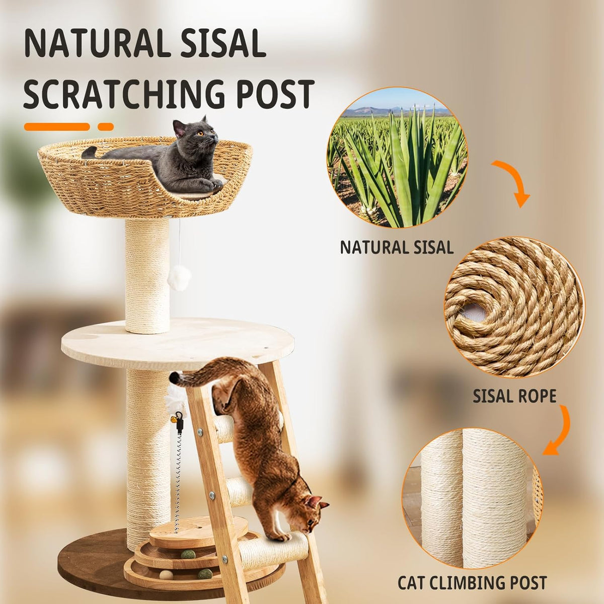 Natural Wood Modern Cat Tree with Top Cats Bed, Unique Cute Cats Furniture Activity Centre with